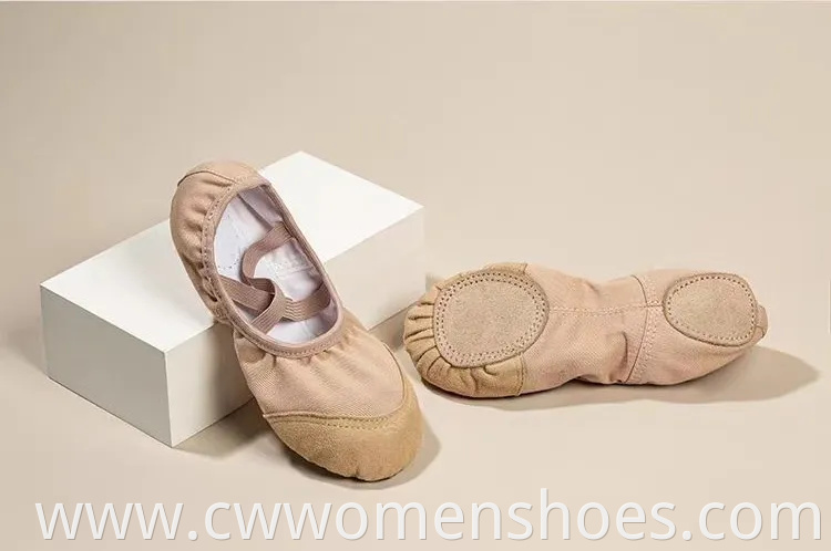 Brown Sheep Tips Ballet Shoes Soft Split Sole Dancing Canvas Ballerina Slippers